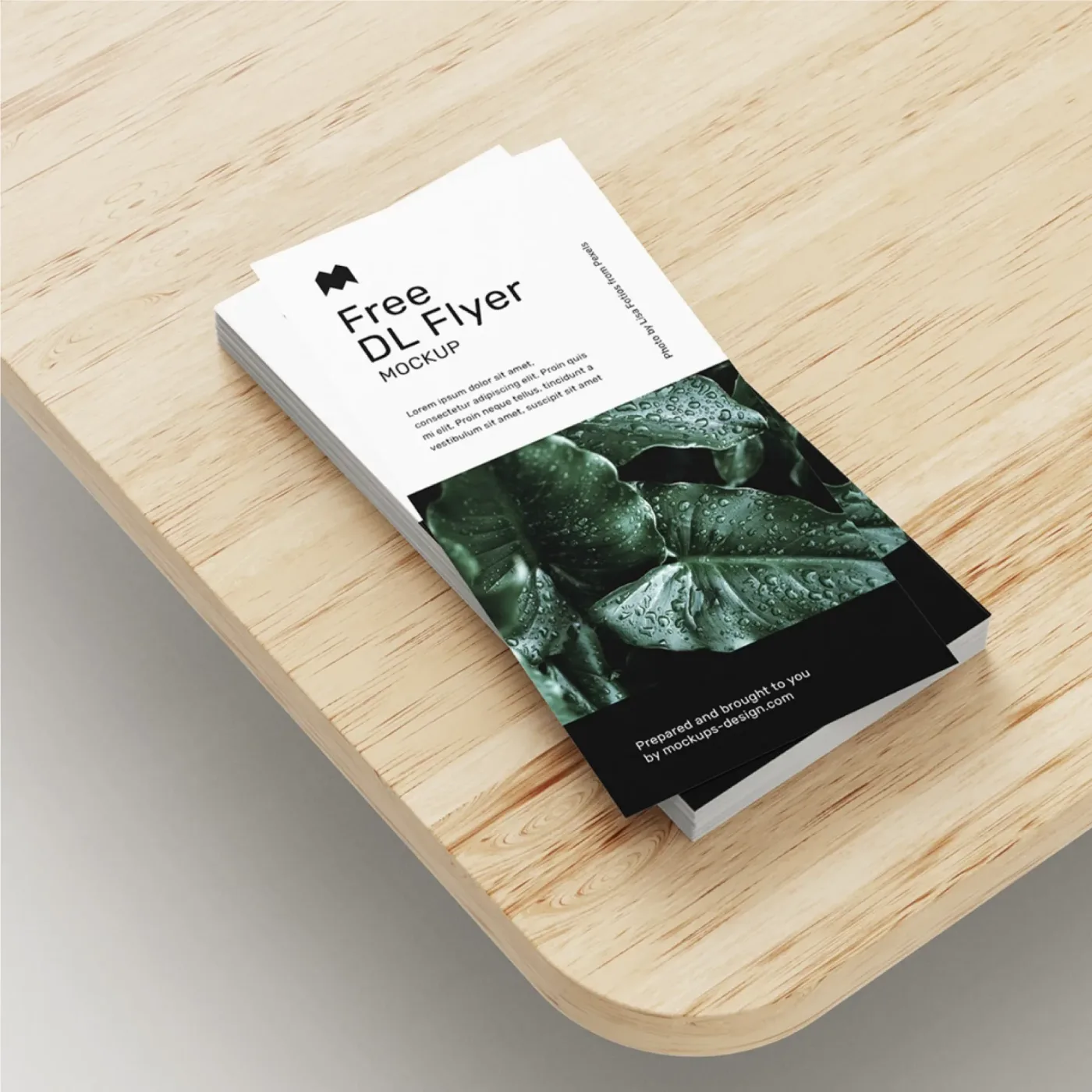 Impression Flyers format DL - vue 3